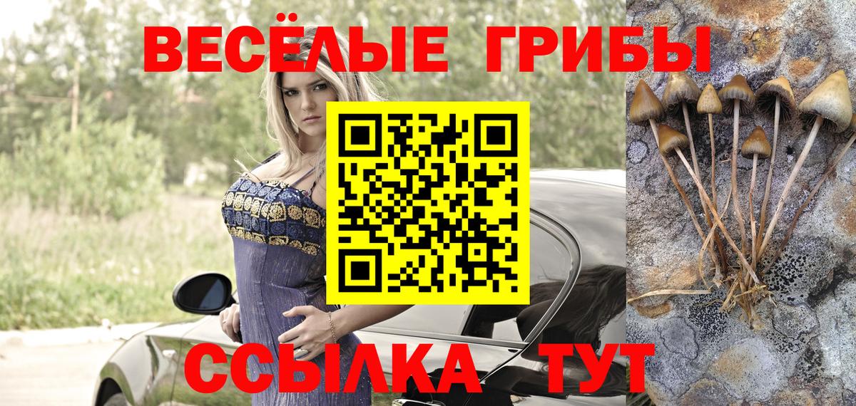 Псилоцибиновые грибы Cubensis  Псилоцибиновые грибы GOLDEN TEACHER  Междуреченск  Вход с VPN 